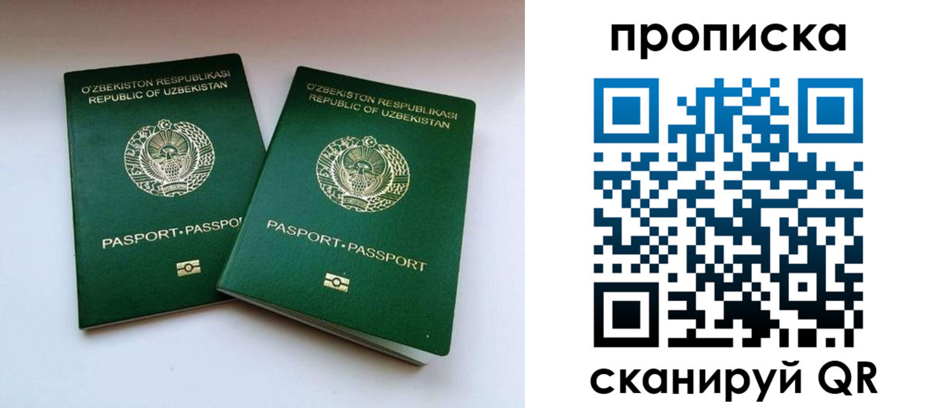 прописка поиск в Менделеевске